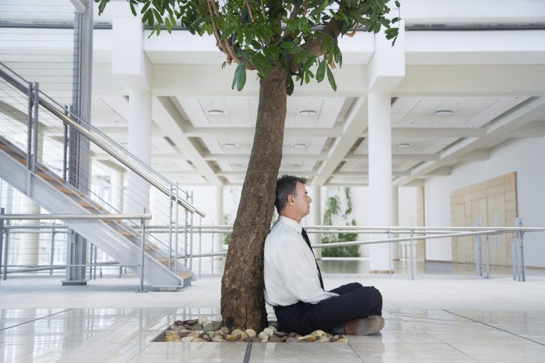 Les Avantages Du Feng Shui Au Bureau